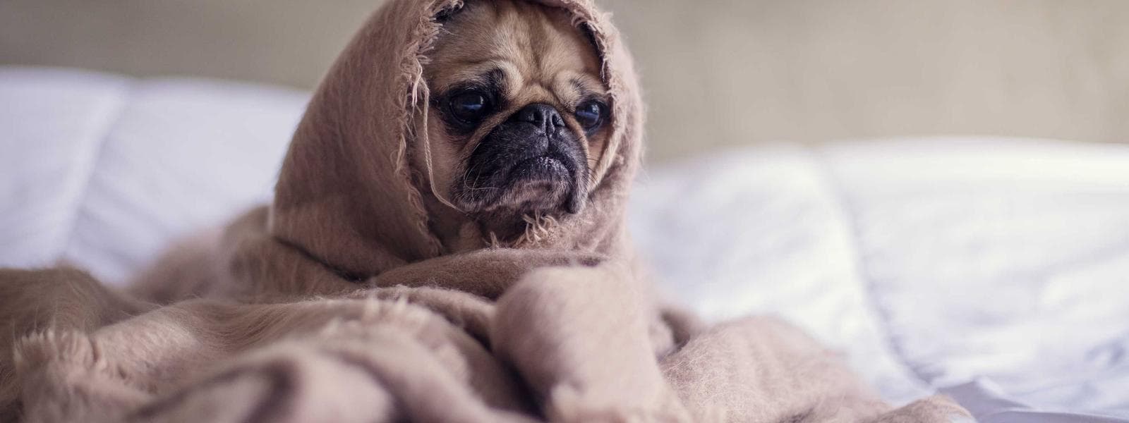 KNX projektiranje i puštanje u rad